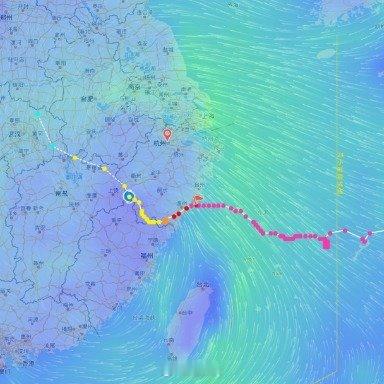 白海豚突然大拐弯预防安全 西安·华严寺
