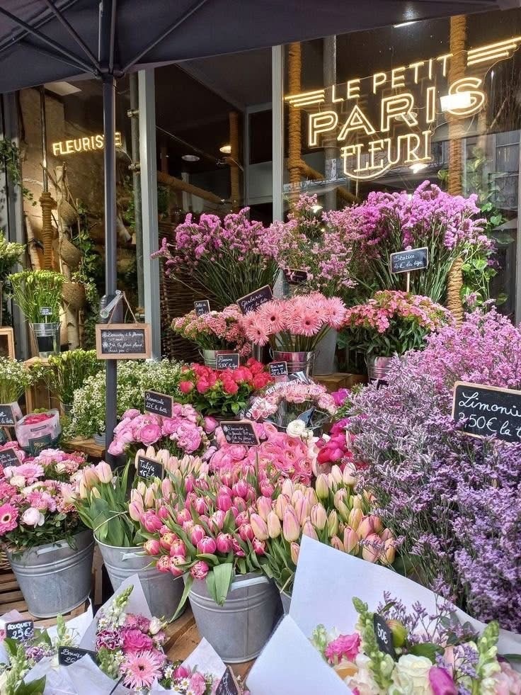 街边花花 