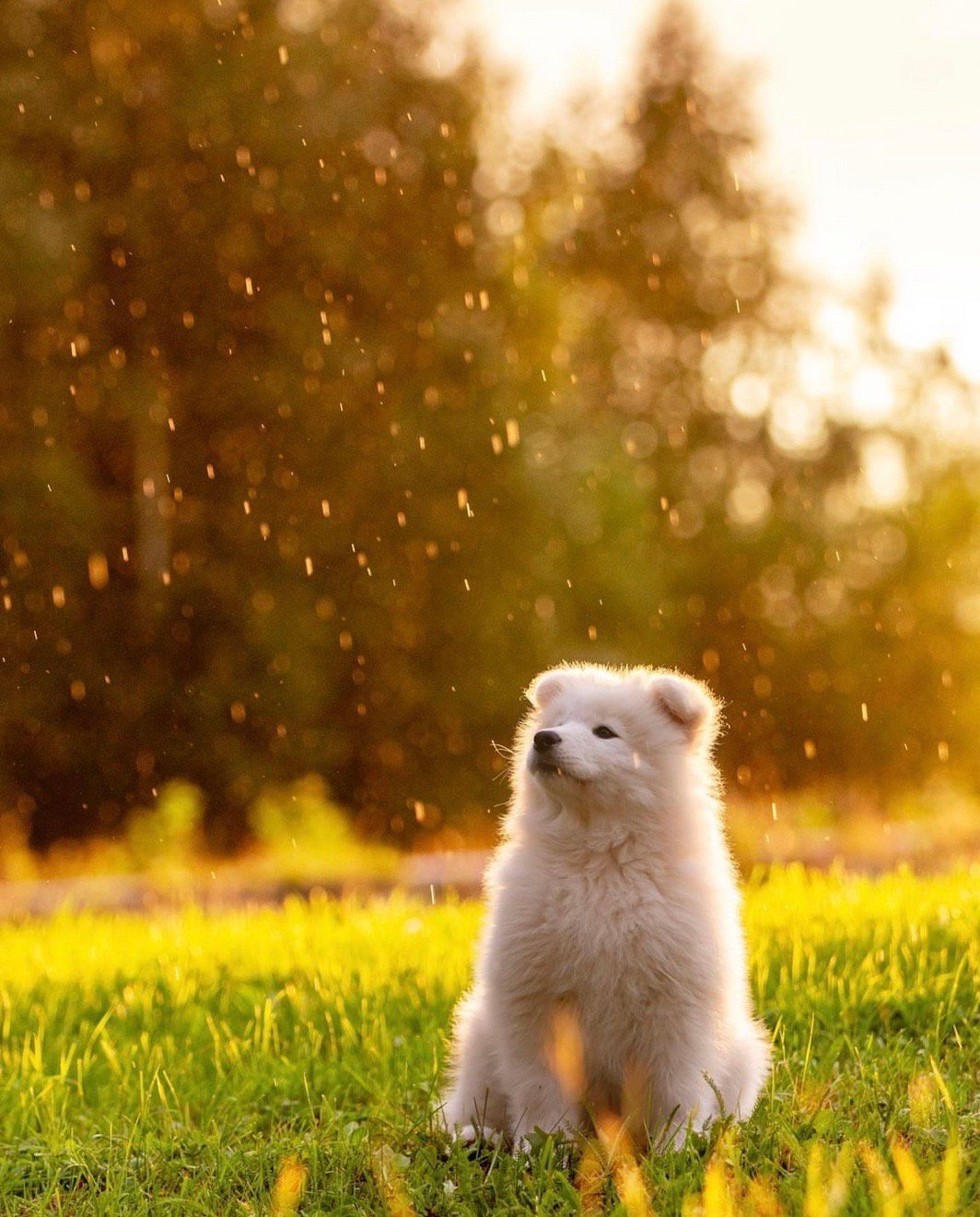 谁说站在光里的才算英雄，也有可能是耶耶熊 