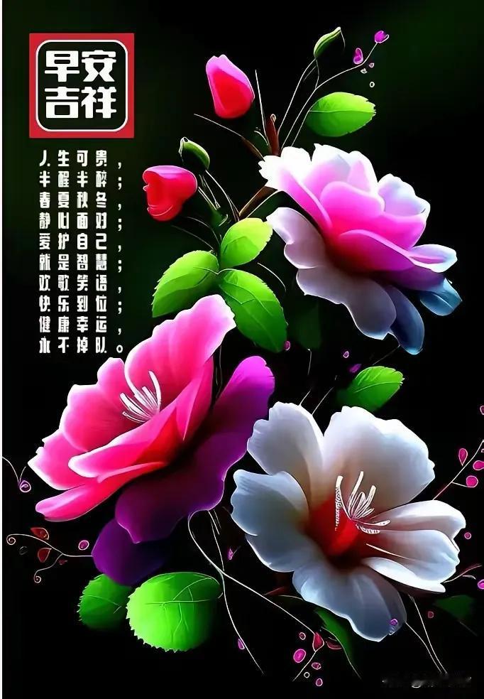 早安吉祥，愿你每一天都充满生机与美好！🌹🌸🌼