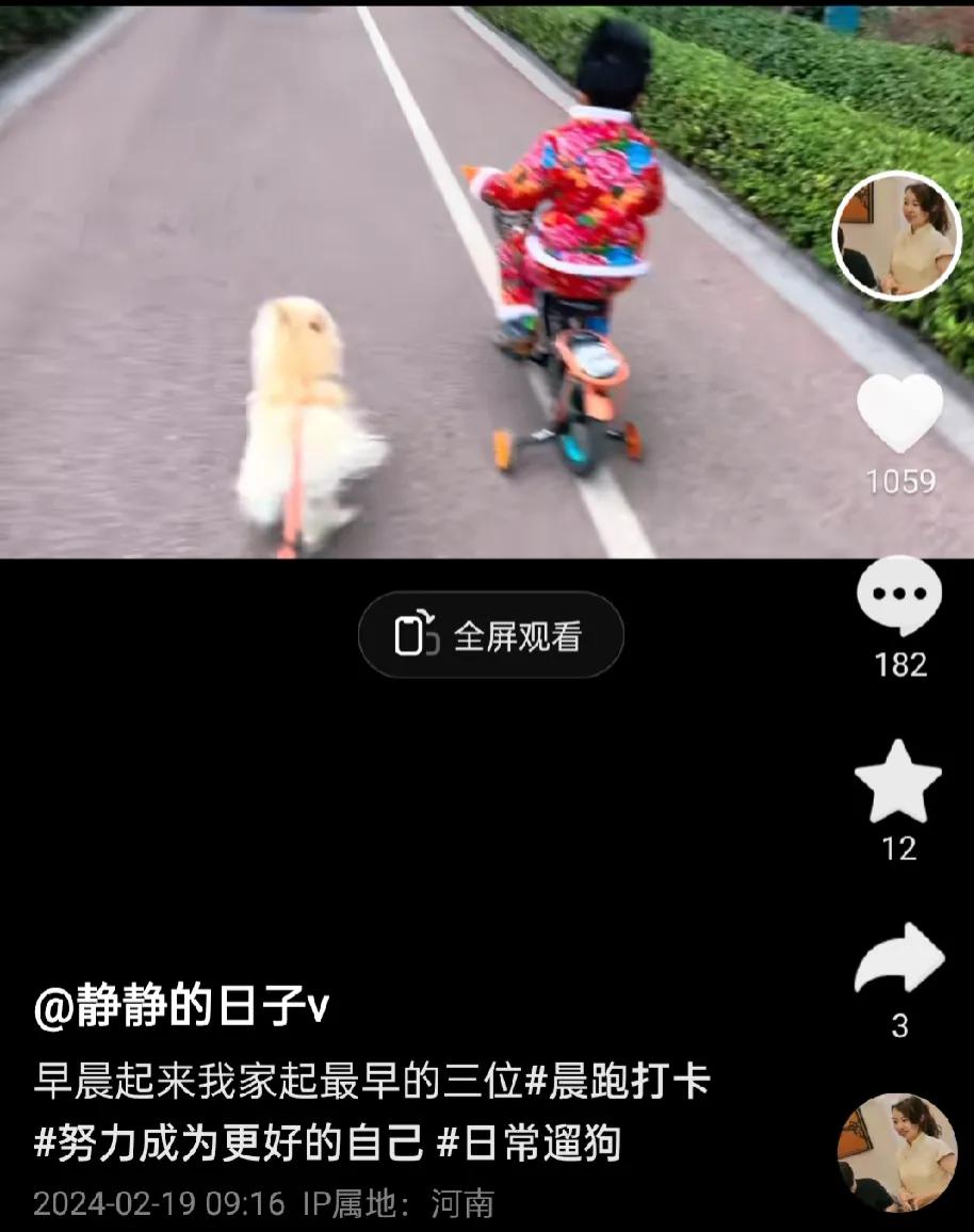 这小家伙还骑的挺快的。
旁边拉狗的大脚丫子也挺快的。
三只小狗也在很认真的跑着。
