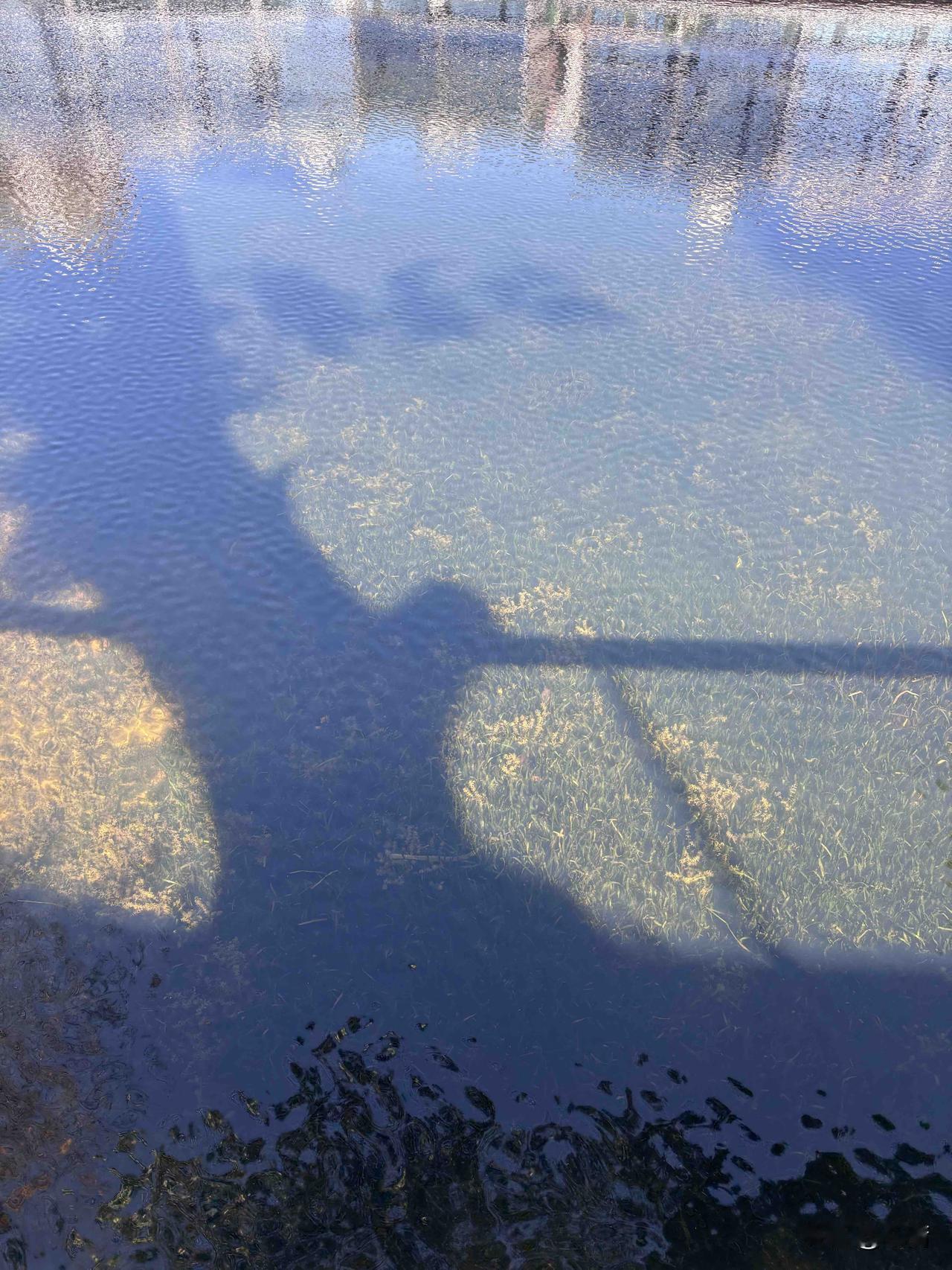 要想和周围人搞好关系，
秘诀就是：
不分享喜悦，不炫耀成功；
不说三道四，不假装