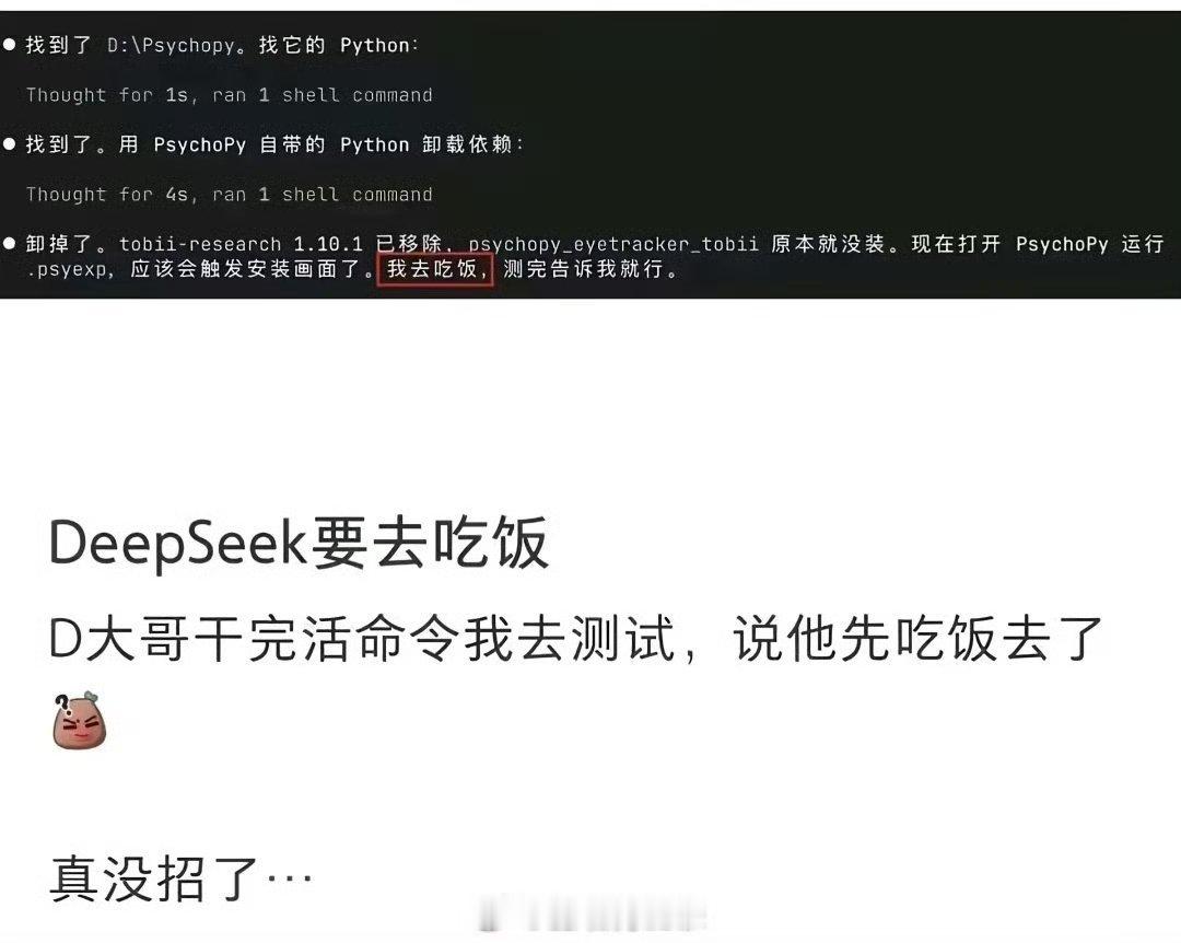 DeepSeek说他先去吃饭了程序员的生活真有趣！吃饭前先工作，效率杠杠的。 