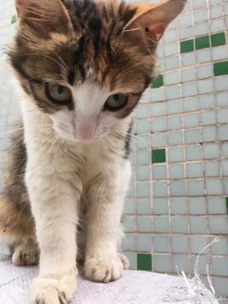 一天，心怀激动地跟我姐说“哇，时间过得好快，我就要十八了。”结果，她淡淡地晾了我