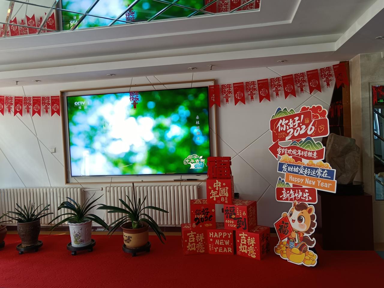 太幸运了！居然在评论区触发了【每日运势签】彩蛋，还可瓜分现金呢，大家快来试试吧！