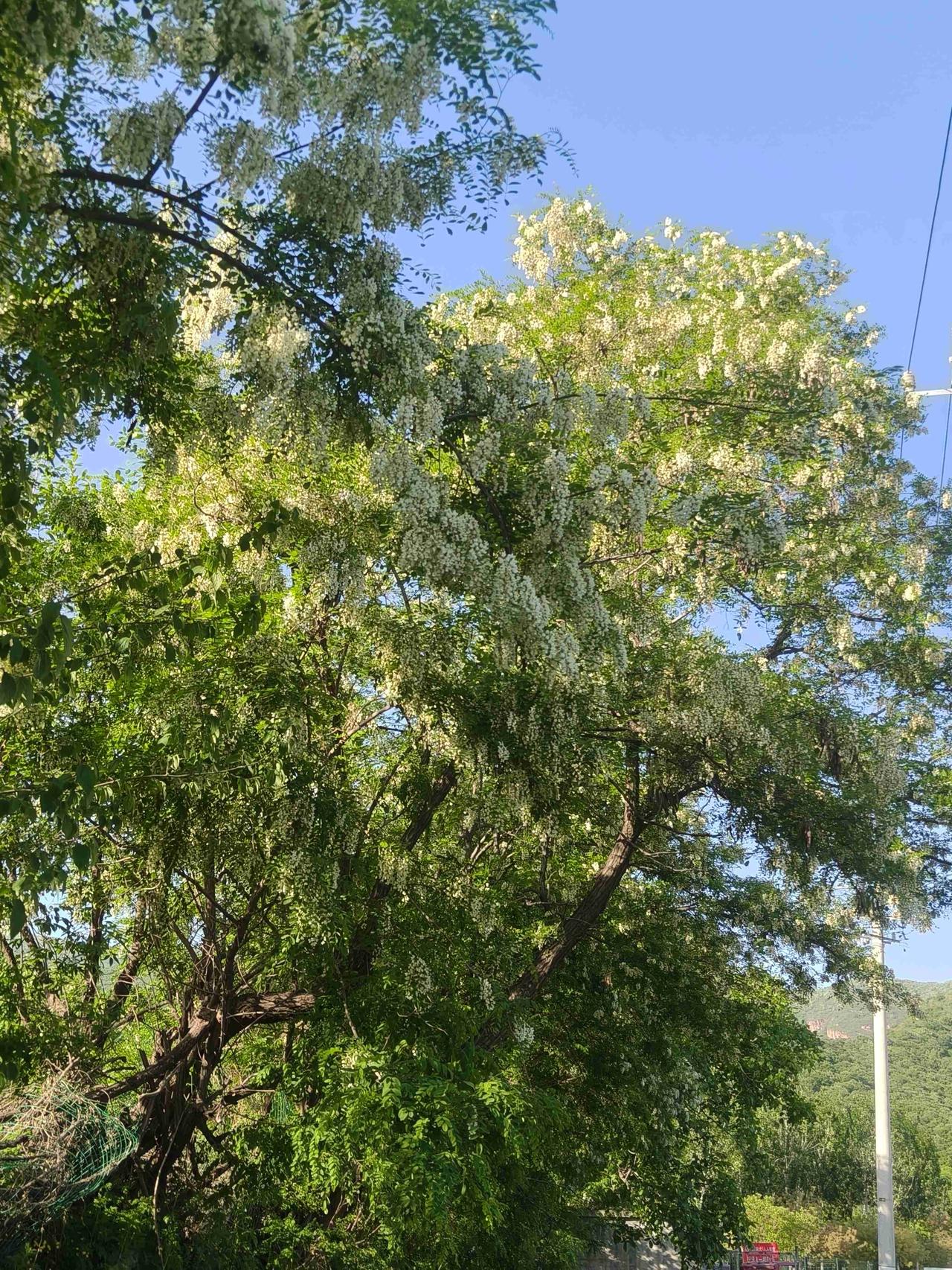 我的今日状态：😁轻松愉快
我这里的天气：🌤️多云