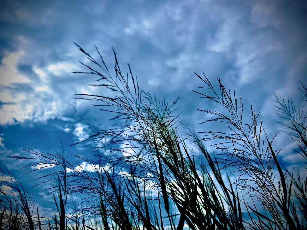 我的今日状态：😁轻松愉快
我这里的天气：☀️晴天
    把生活的憧憬敲醒
 