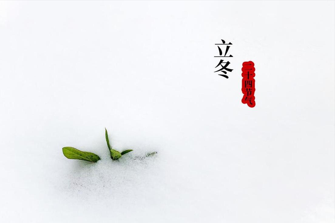 九月廿五立冬，俗语“冬吃5宝，疾祸不扰”，5宝是啥？早吃早受益
进入深秋，我们需