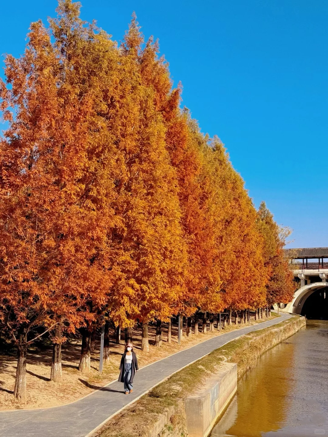 接下来的西安🍂比你想象中还要美！！（附攻略）