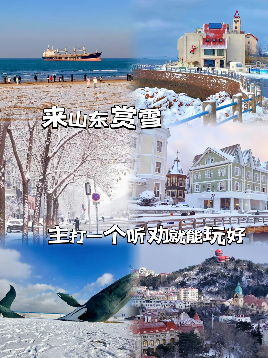 海边看雪|沿海城市怎么选？好客山东告诉你