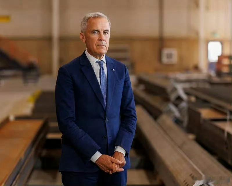 卡尼在呼吁中等国际联合自保时直言，强国可以选择单打独斗。他们有市场规模、有军事能