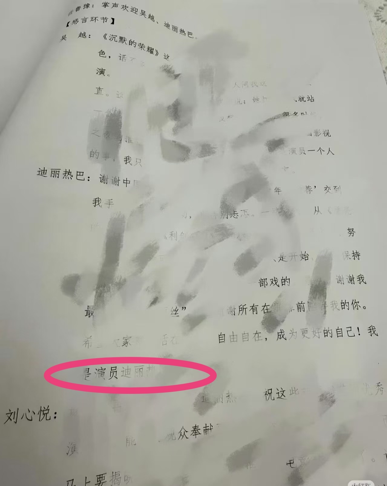我是演员迪丽热巴 