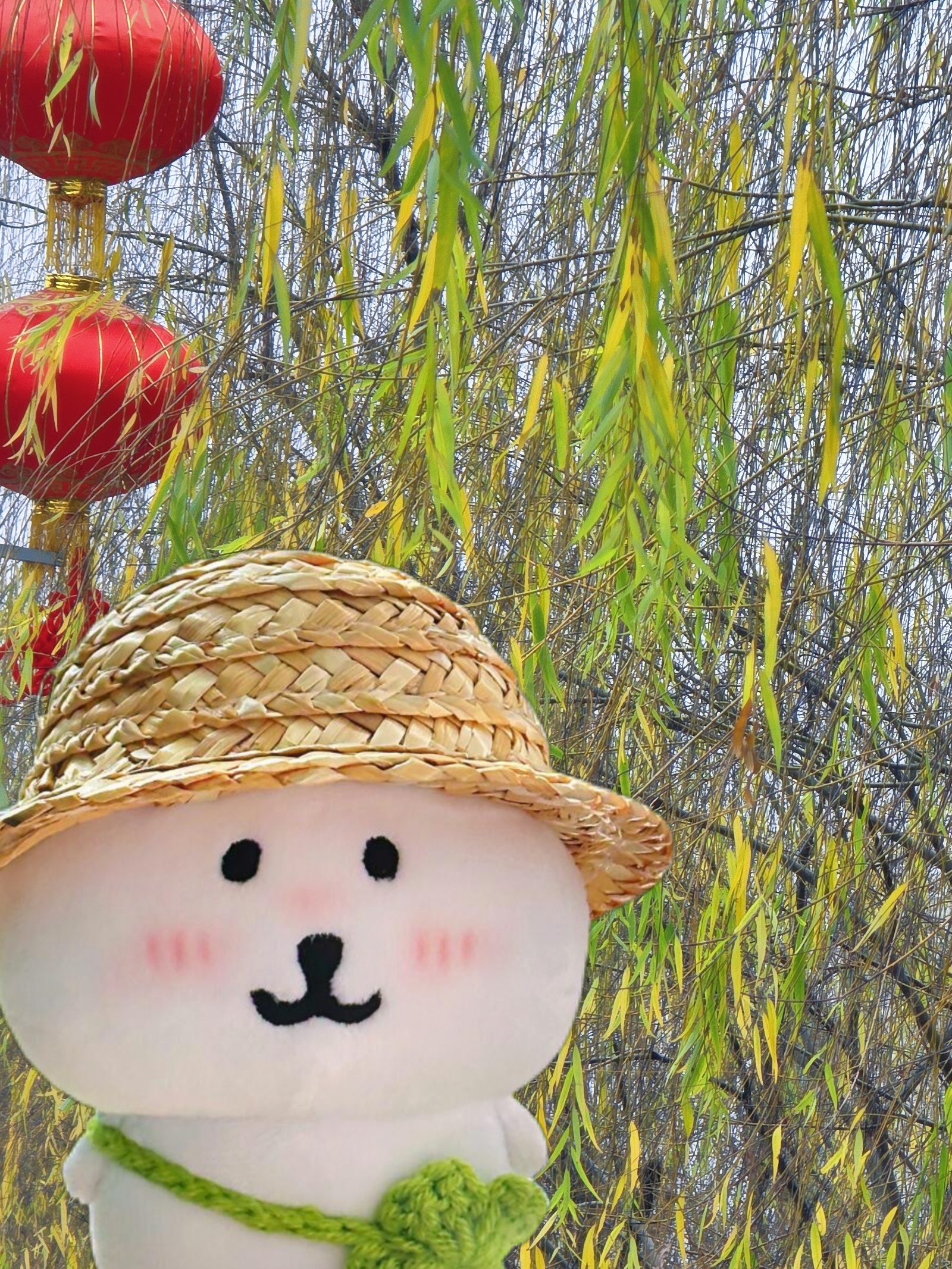 为什么说今年立春不一般