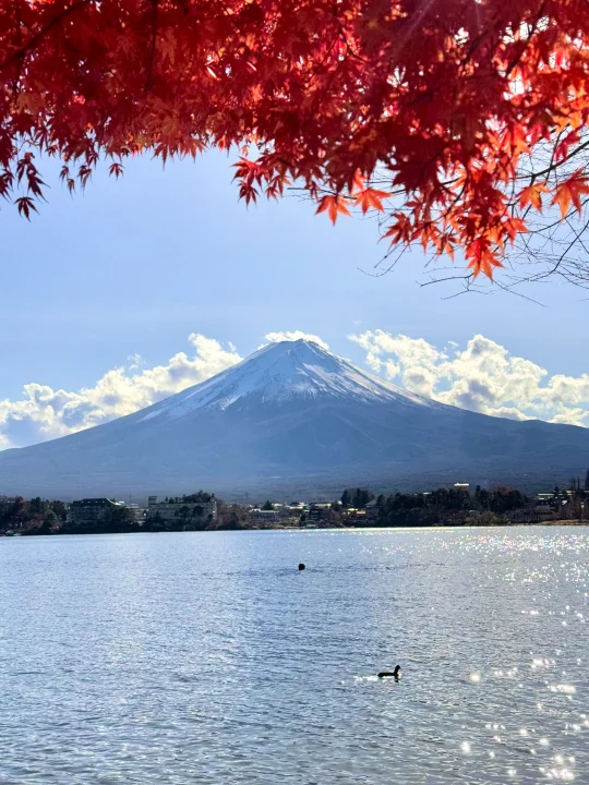 这个秋天总要和喜欢的人去看一次富士山吧🗻