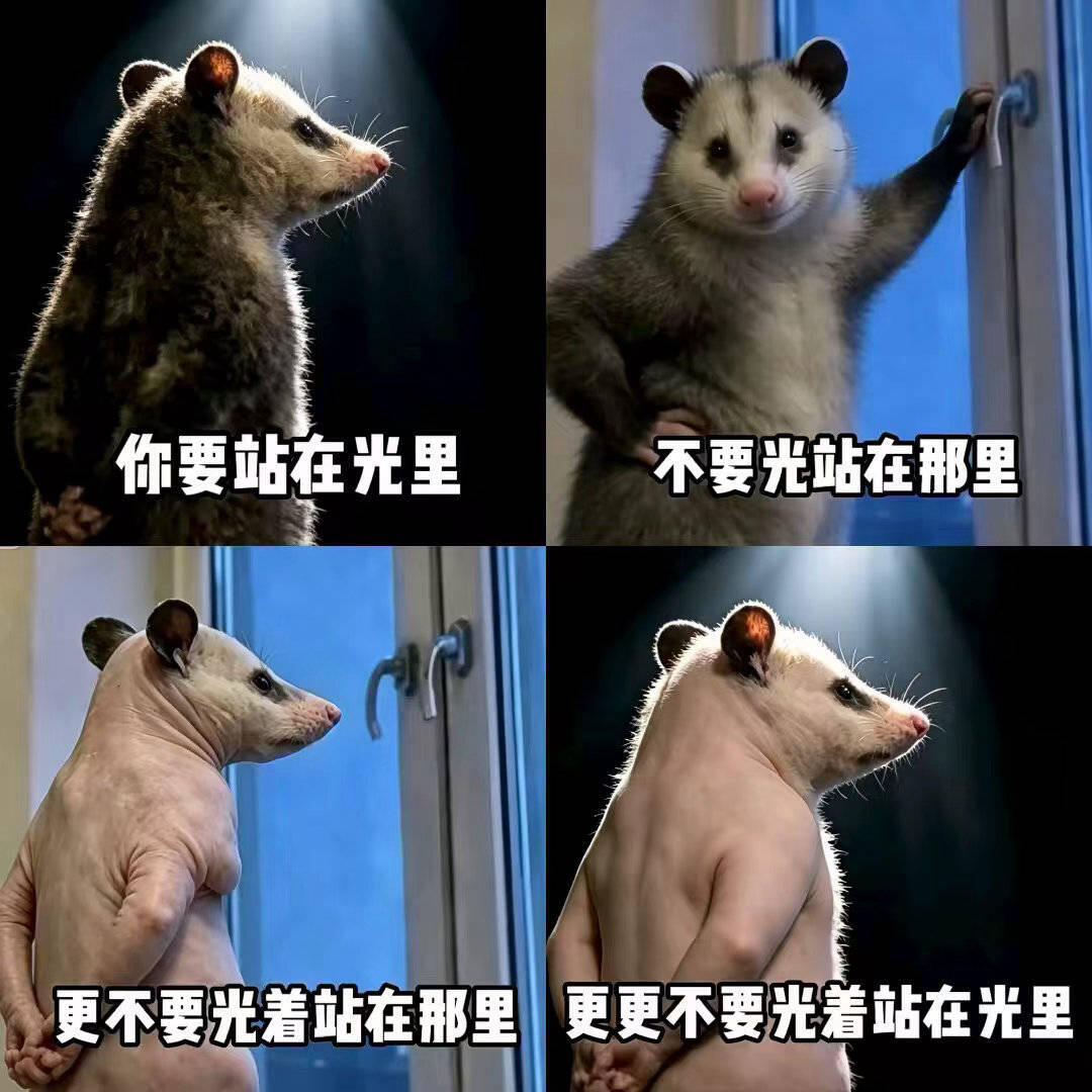 人生不只有考公考研两条路人生是旷野！人为什么一定要往高处走呢？人可以到处走…… 