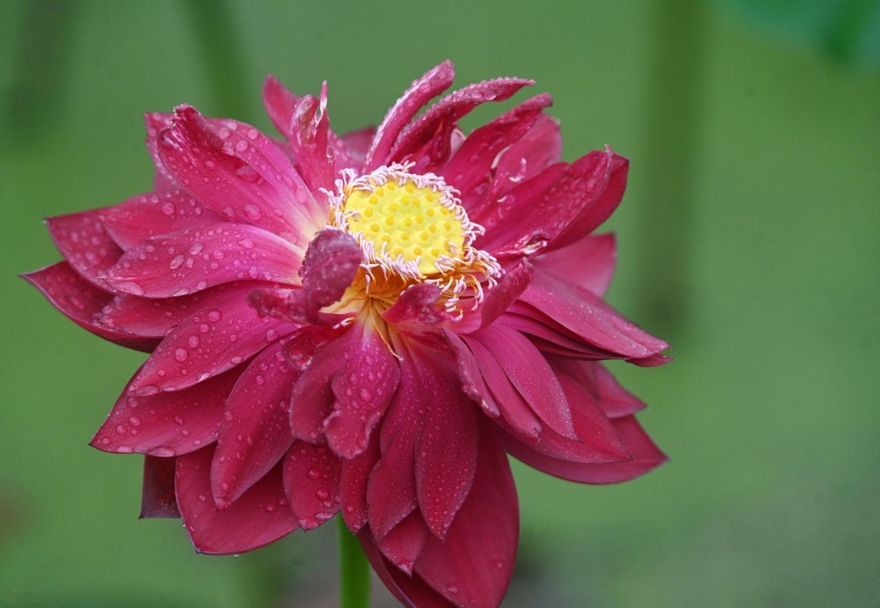 每一个不曾起舞的日子，都是对生命的辜负。让每一天都充满激情和活力，活出真我风采。