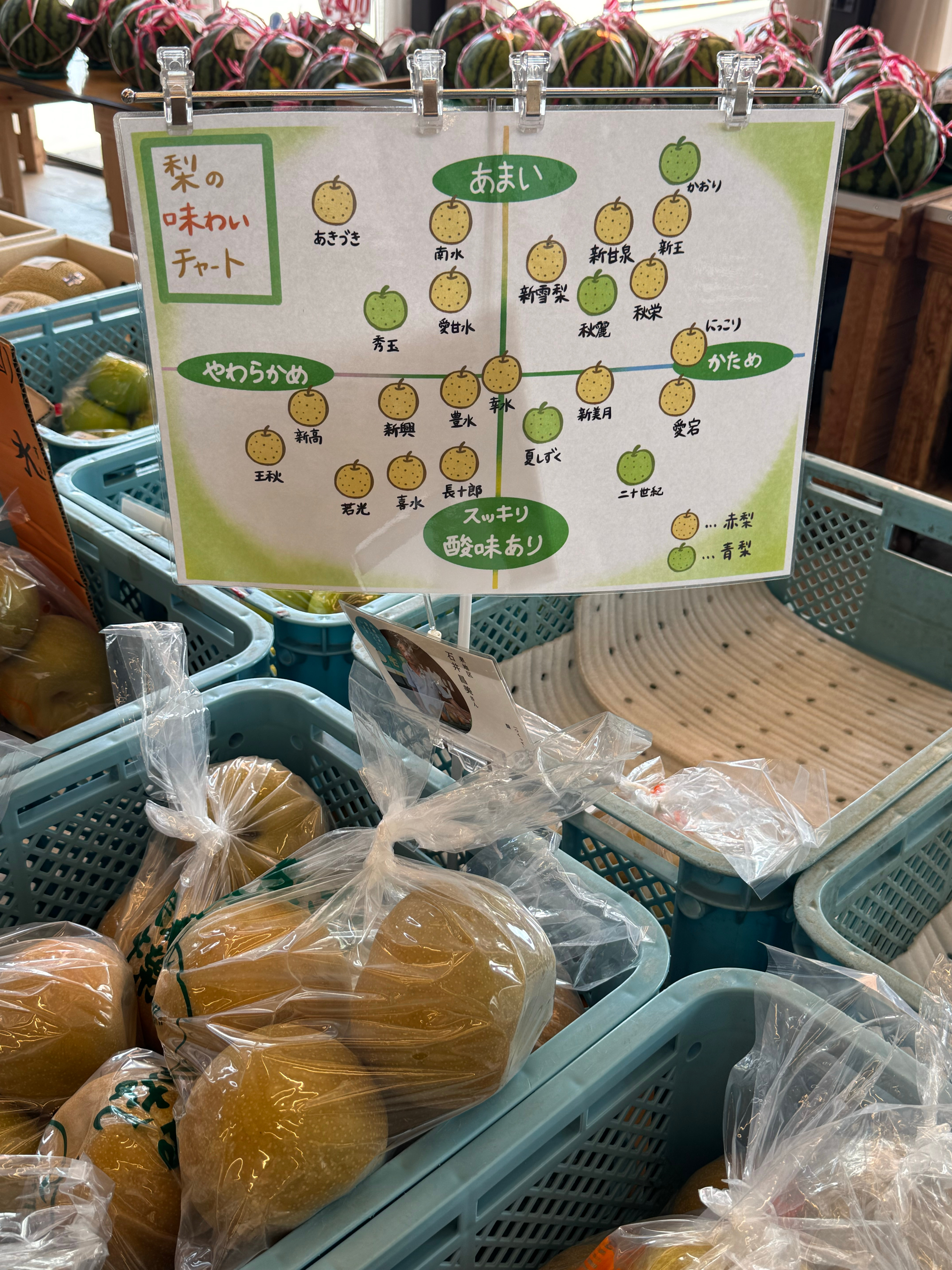 又到了吃梨的季节了🍐梨原来有这么多品种啊幸水是C位 