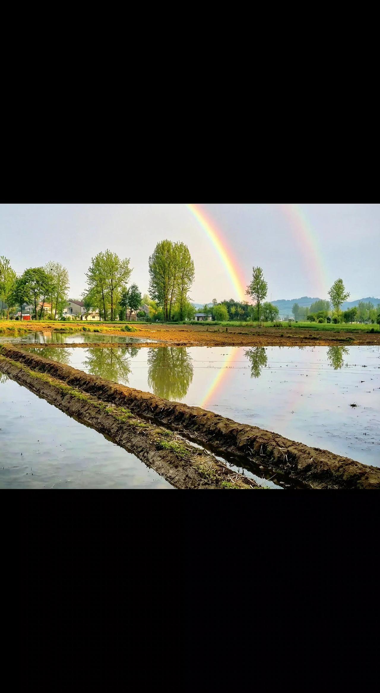 🌈双虹卧波，水田是天空的镜子🌊。泥泞田埂藏着春的密码，万物都在等一场破土而出