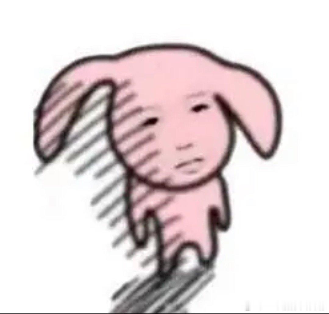 这条坏崽看不见了吗 
