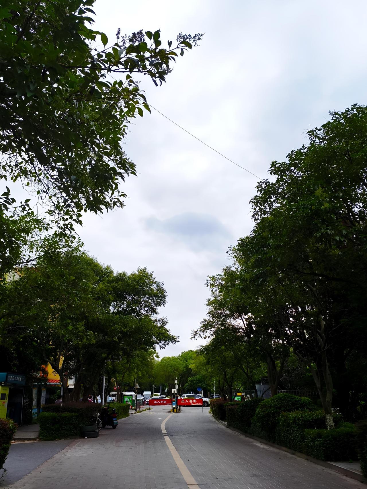 南京这天气被“巴威”搅得一团糟，雨像断了线的珠子，从11日16时到13日08时，