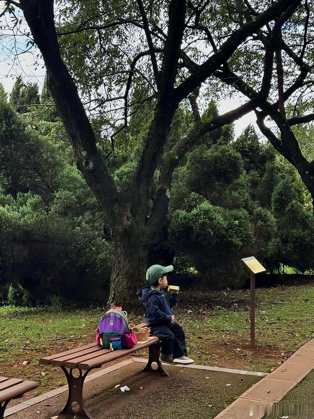 捡秋🍂 风经过时 树梢响起一片沙沙声那是秋天最熟悉的耳语而在沙沙声的间隙里传来