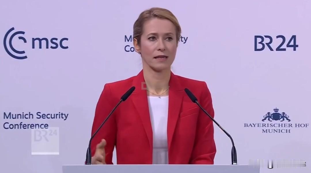 “若乌克兰军队规模受限，俄罗斯军队规模也应受限。俄罗斯在乌克兰造成损失，就应承担