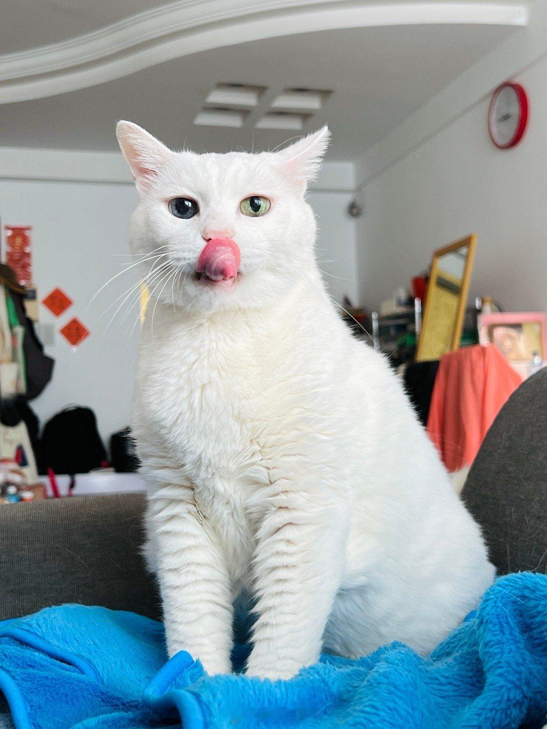 上午好👋🏻👋🏻👋🏻 ​​​