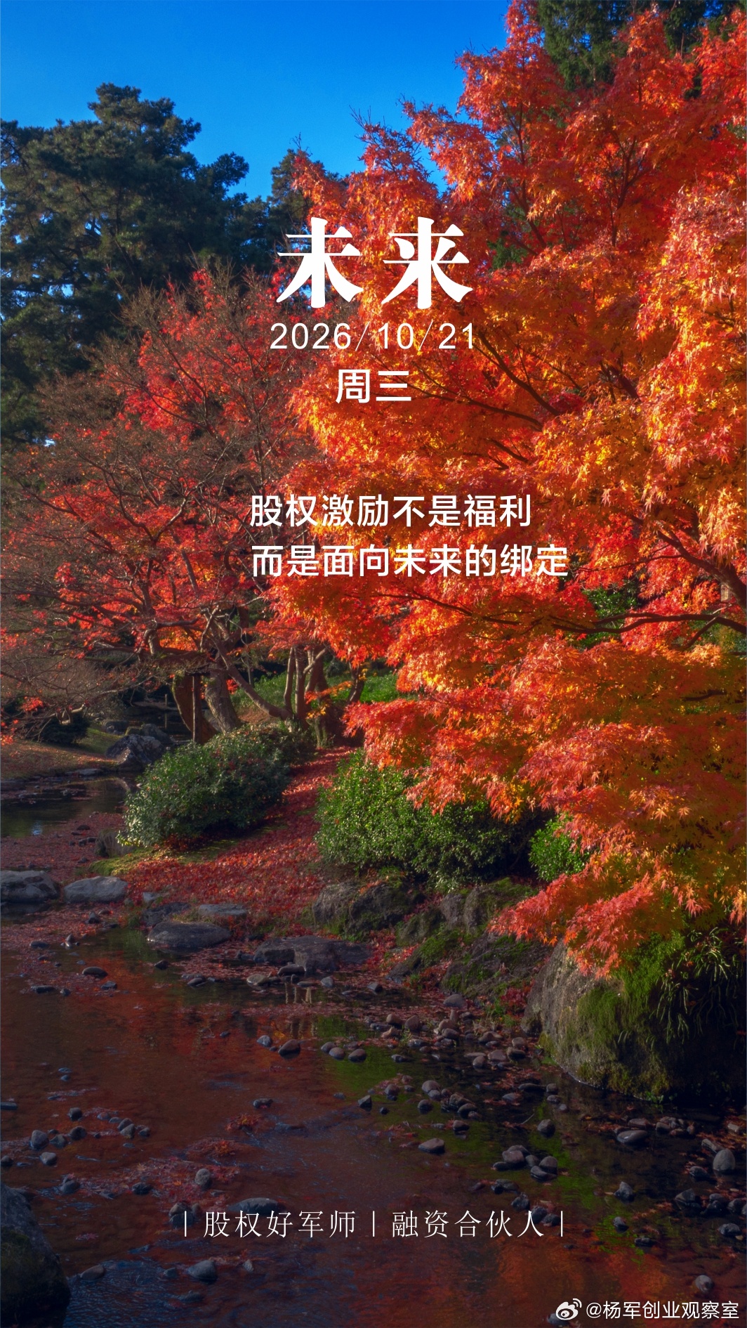 分享图片 ​​​