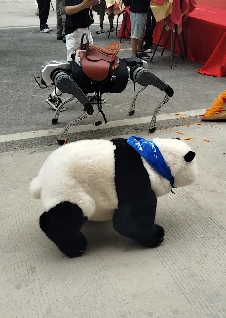 我不行了这个机器狗还真的能骑