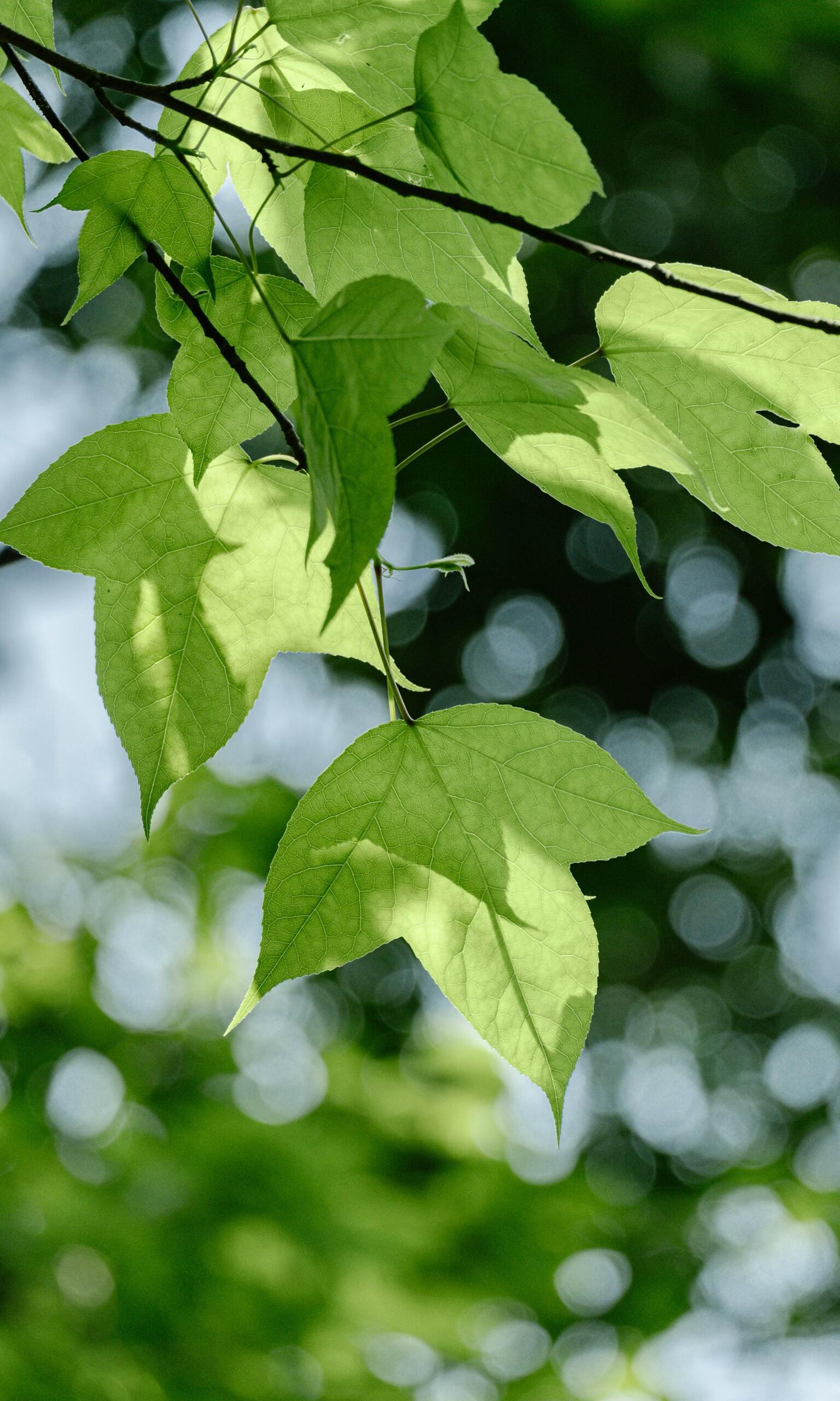 量变到质变是一个过程 