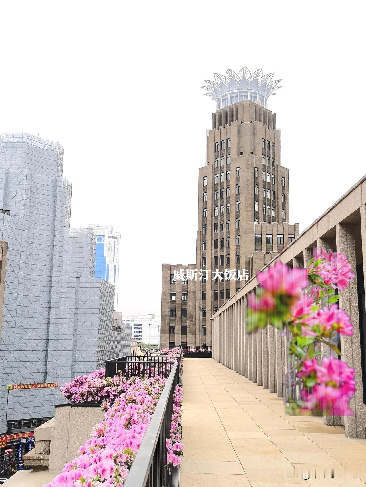 百年老市府5楼的杜鹃花开了！

今天，4月13日，春雨稍歇。

我登上老市府大楼