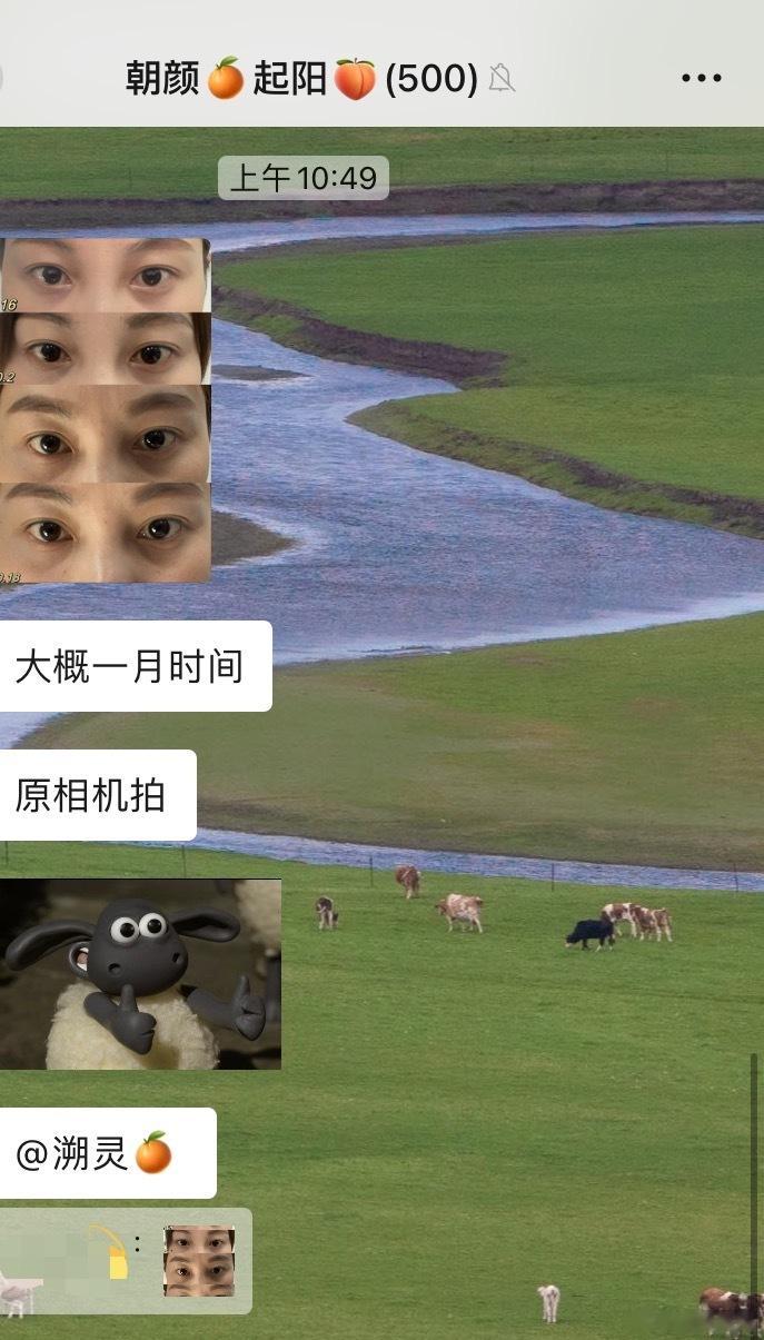 作为亮眼好运 养生博主必须合格～ ​​​