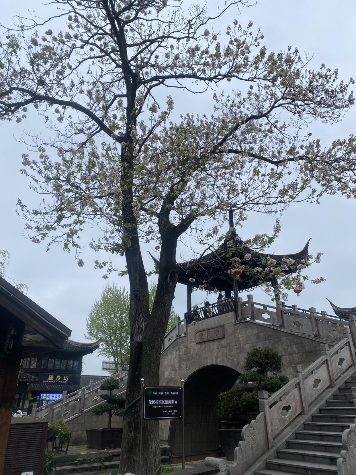 我的今日状态：😁轻松愉快
我这里的天气：☀️晴天