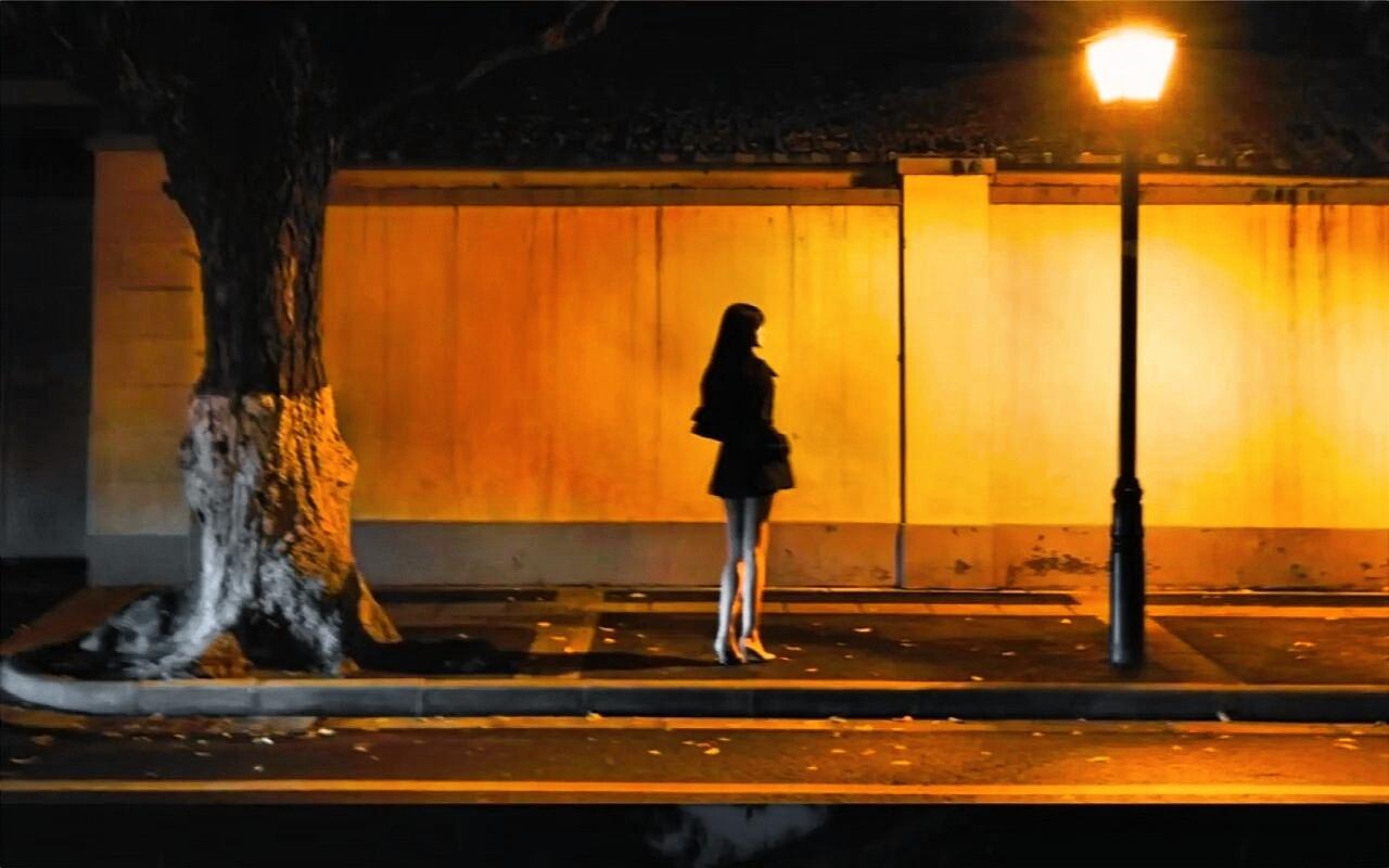 夜幕降临，街灯如日，长发妙女，亦步亦趋，树影婆娑，静谧悠美。一道美丽的风景线，真