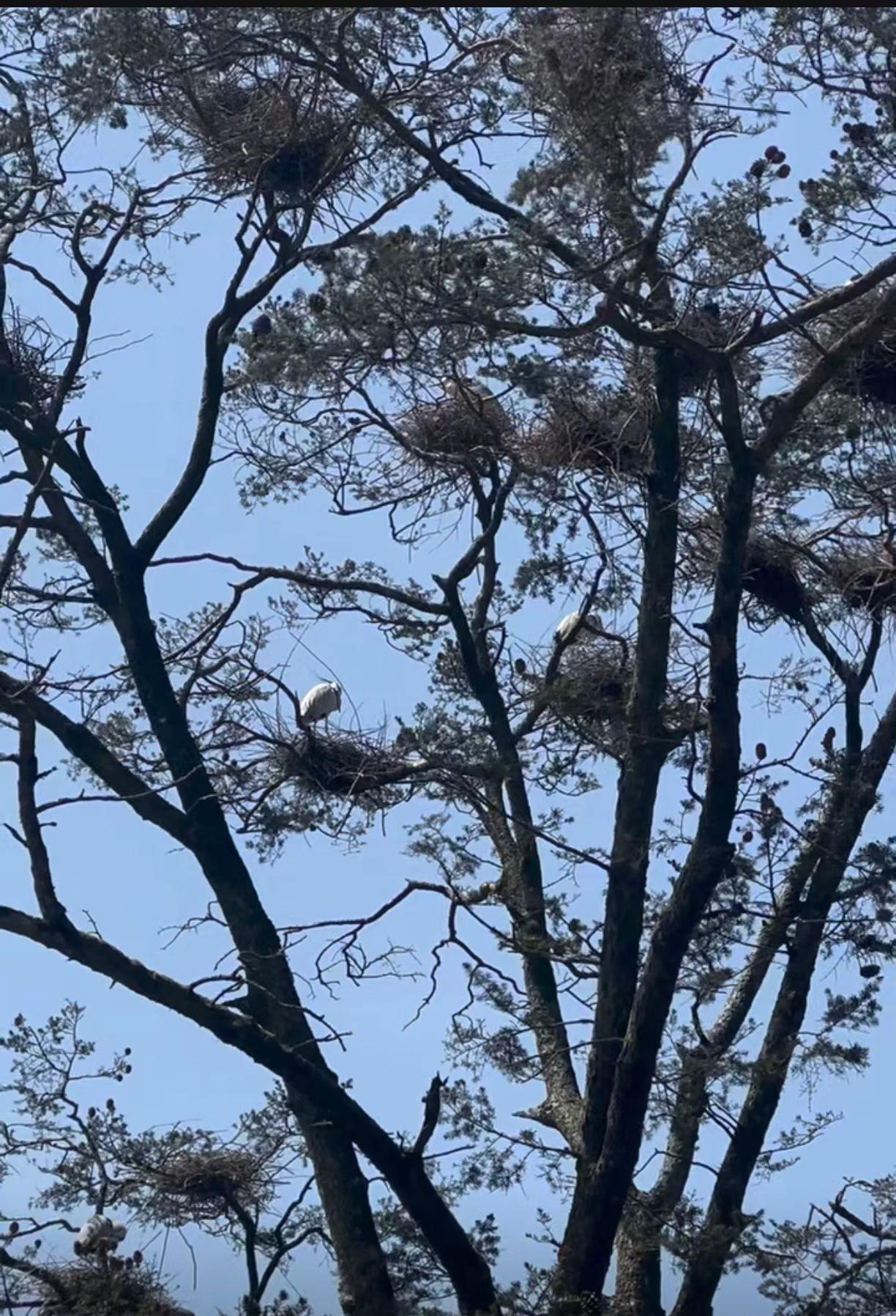 三十载相守相伴，我们更懂平凡日子里的相守可贵。祭祖不只是缅怀先人，更是传承责任与