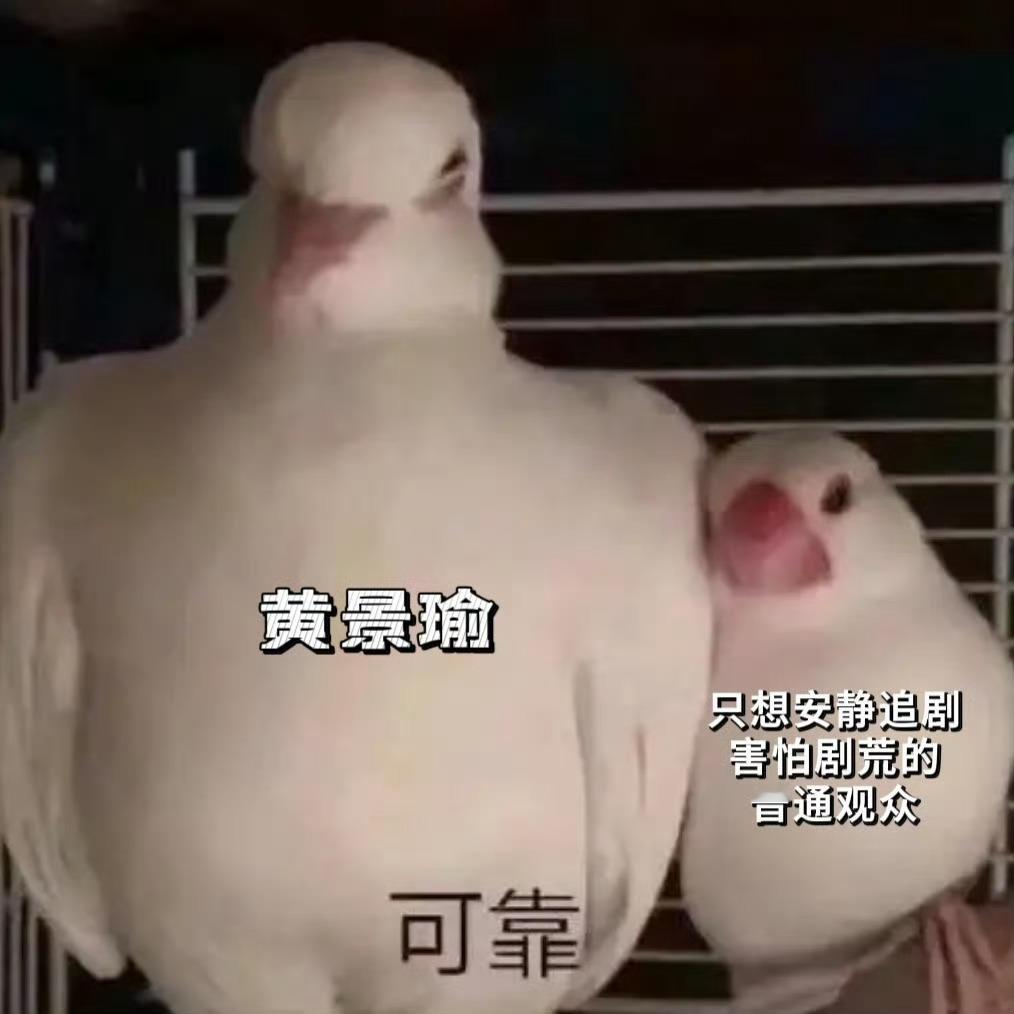 睡前例行盘了一遍今日全网瓜地，有点心疼那些环黄景瑜羡慕嫉妒恨的可怜人，防爆了大半