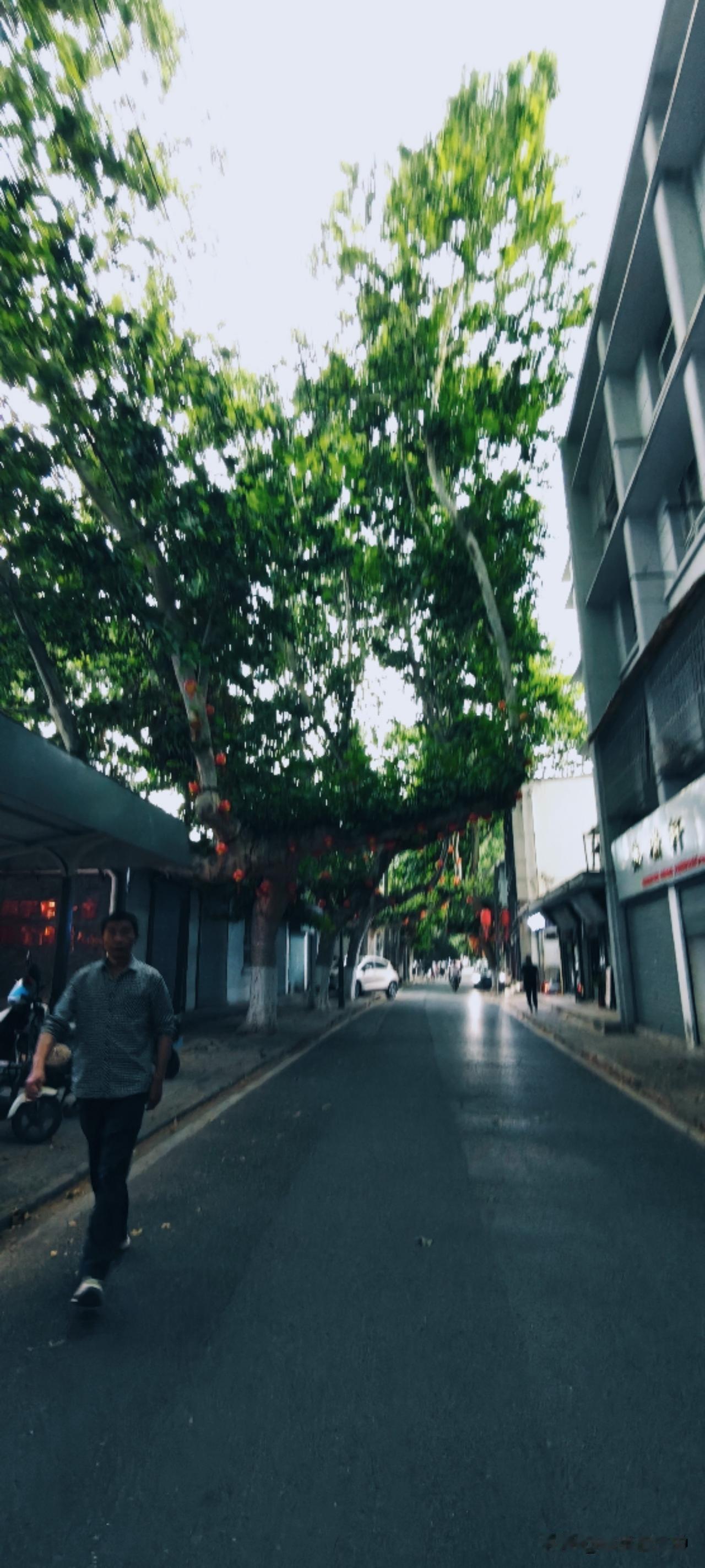 从丁字街一路走过来，遇到四组沿街拍照打卡的团队，汉服旗袍二次元各有各的美。清风滑