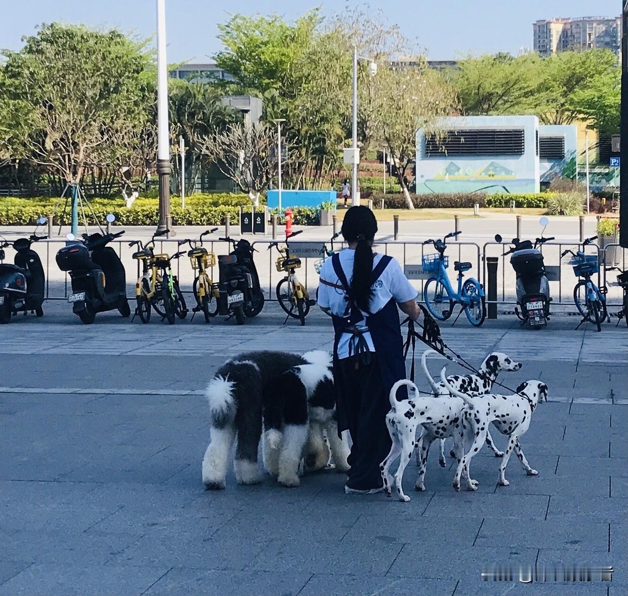 爆了！我不经意的一篇创作，竟然上头条深圳热门话题榜二了，这或许就是我坚持创作的动
