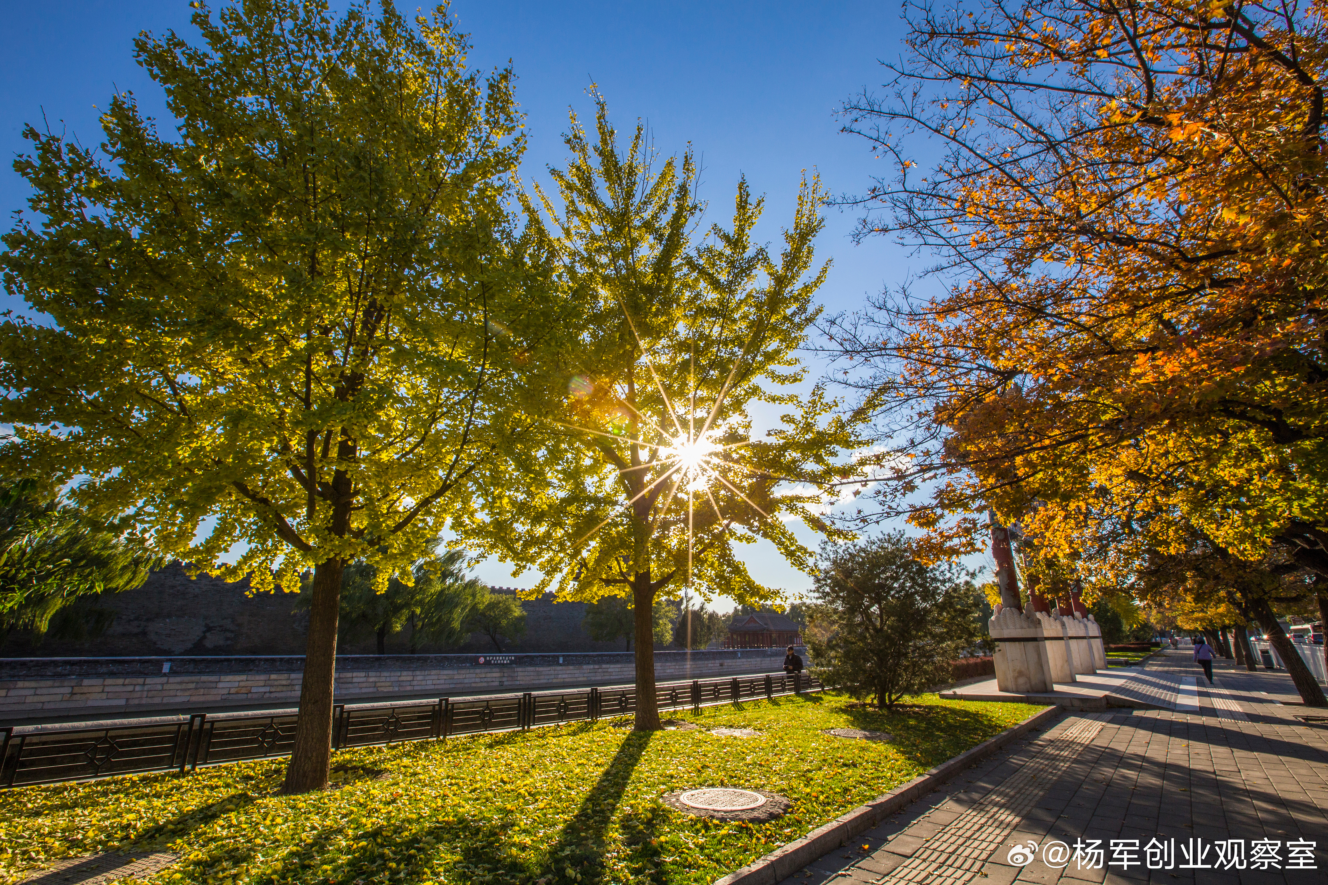 优秀投资人通过提供指导意见、资本支持、人脉和创业辅导扬长避短，在专业领域提供建议