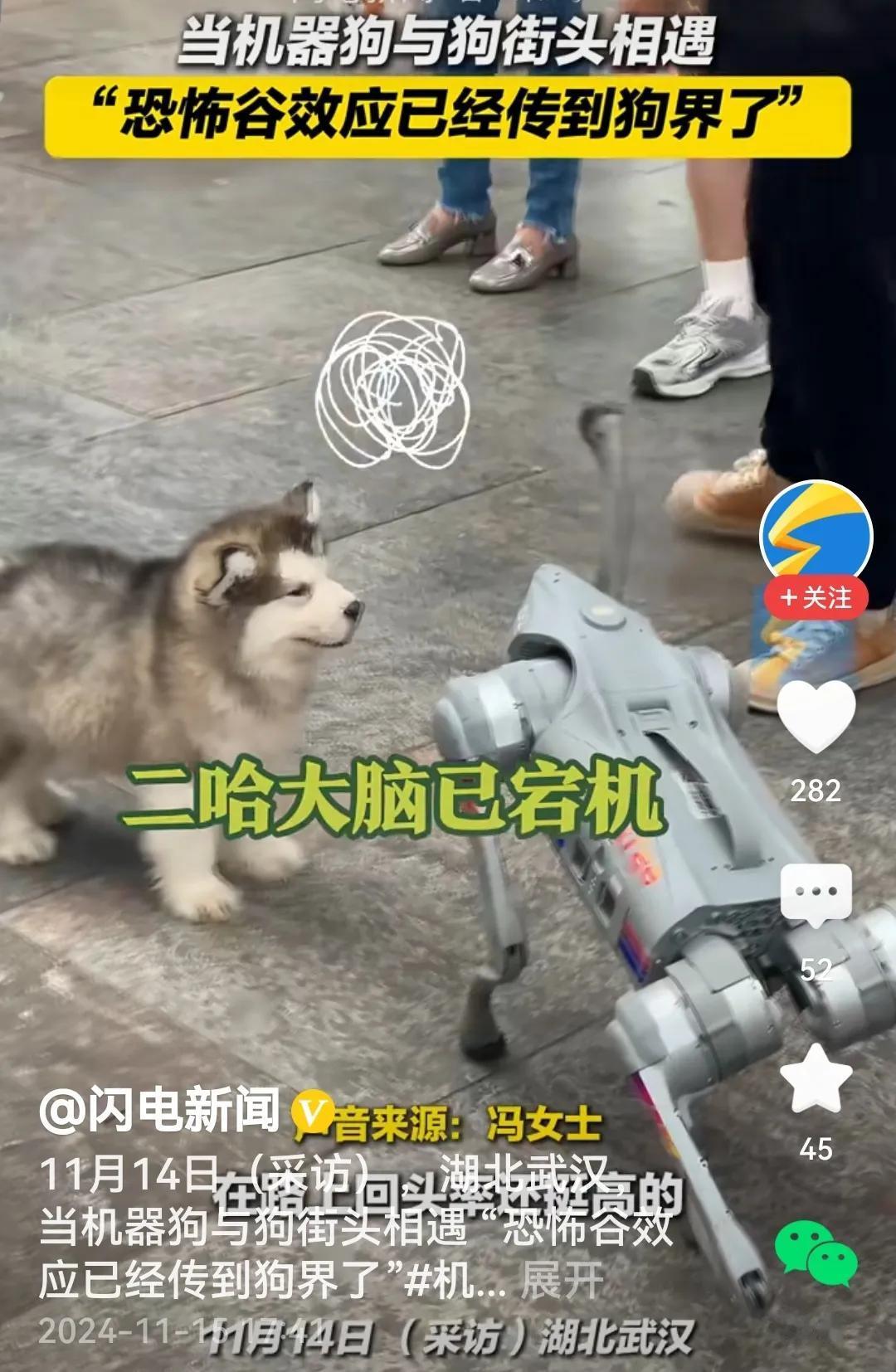 是的，视频里，街头上，机器狗与狗子不期而遇。
机器狗：嗨！小伙伴。
狗子：是和我