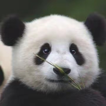 事情不是一蹴而就的，总要开始，然后再一步一步慢慢来 ​​​