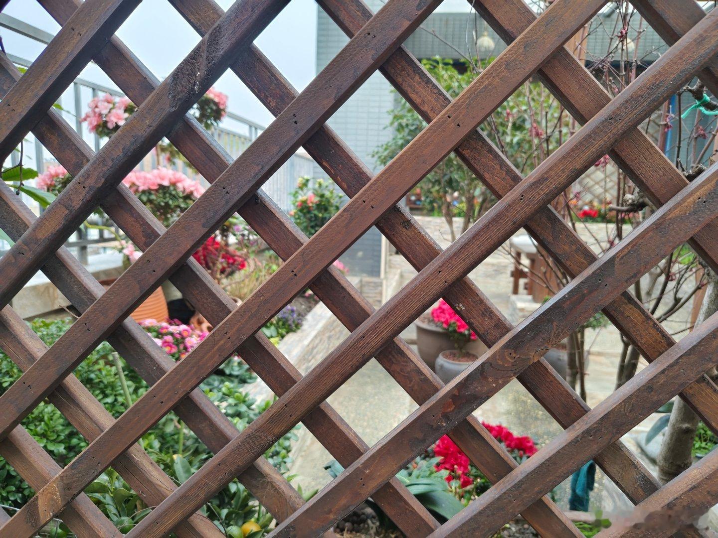 《偷窥》黄四娘家花满蹊，仅供偷窥不可及。 