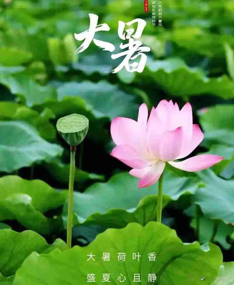 我的今日状态：😪没睡醒
我这里的天气：🌤️多云
今天报的有小雨，这会是多云，
