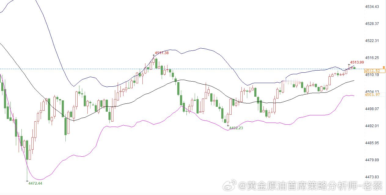 周一早上好朋友们，最近黄金行情波动大，现在安排黄金提前布局4495-4492位置