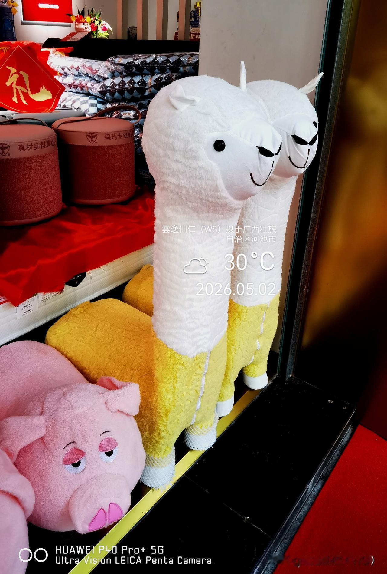 月居生活记录（9678）广西壮族自治区河池市（105）：羊驼、梯次、农药无人机、