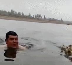 男子游泳偶遇小鸭子被当成顺风船！