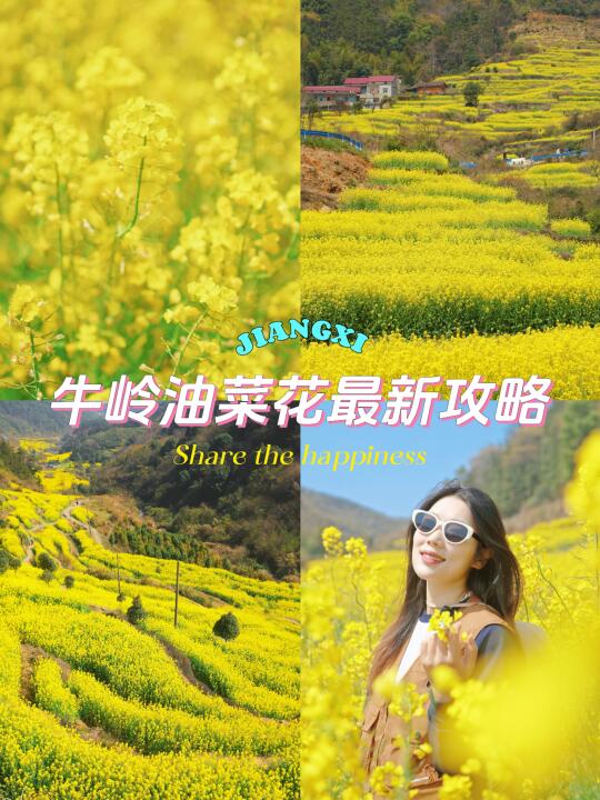 比起婺源🌼我更爱南昌这个免费油菜花梯田‼️
