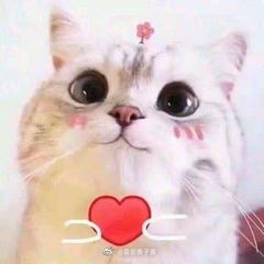❤️置顶❤️弄了个专栏，把我平时的小段子还有部分文章整理了一下（因为太多了所以先