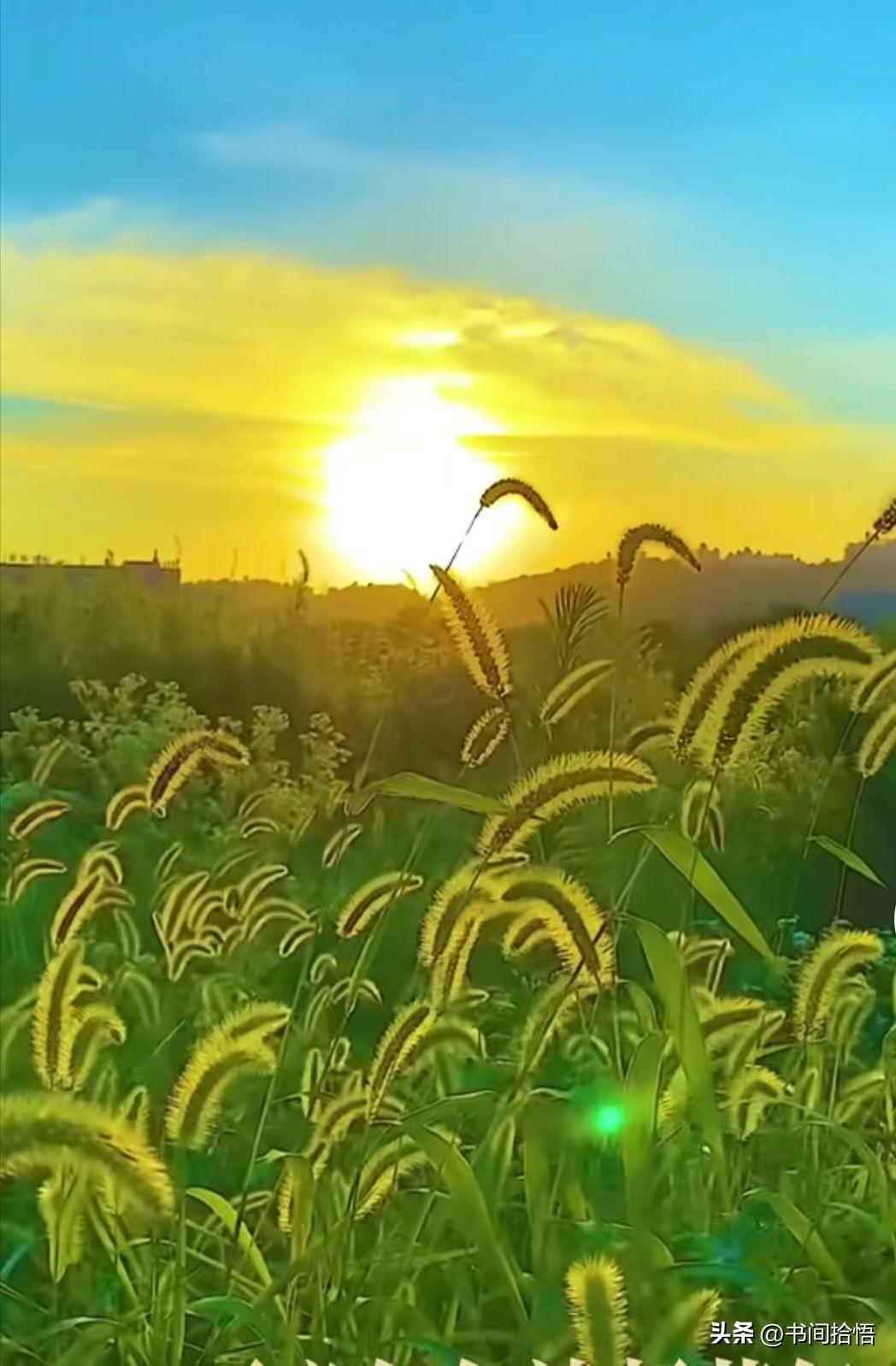 狠狠记住：《老人言》
1. 借钱，借出仇，不借是恩人。
2. 救急不救穷，帮笨不
