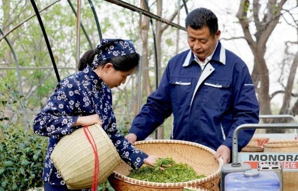 本轮个税高增长，近九成税收来自收入前10%的高收入群体。
在国内整体税收增长乏力